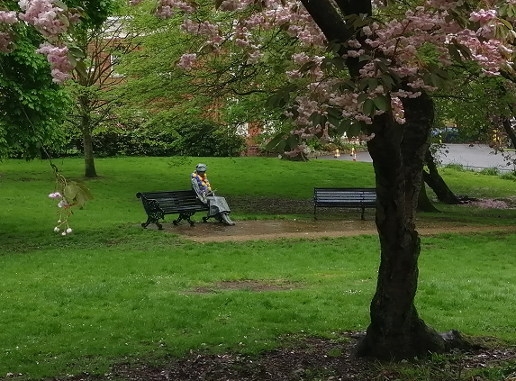 Lady in the Park