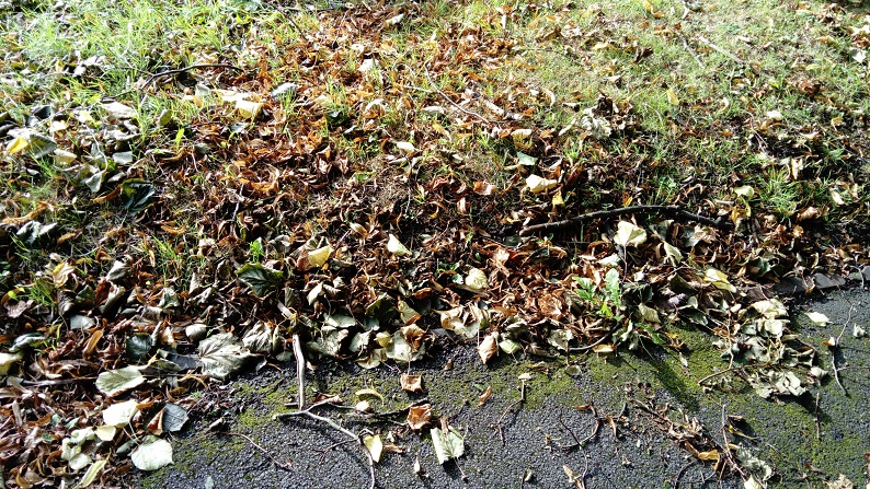 A Walk Around Longton Cemetery